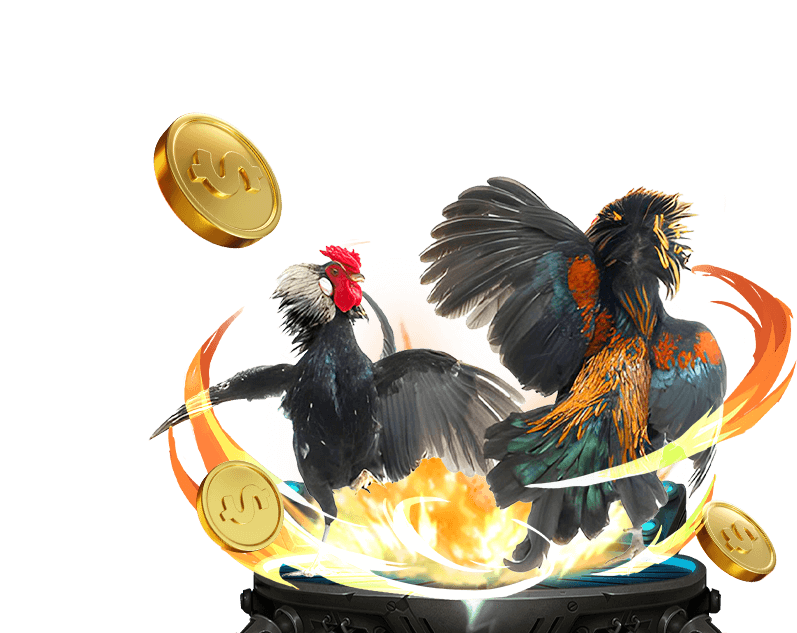 Đá Gà trực tuyến New88